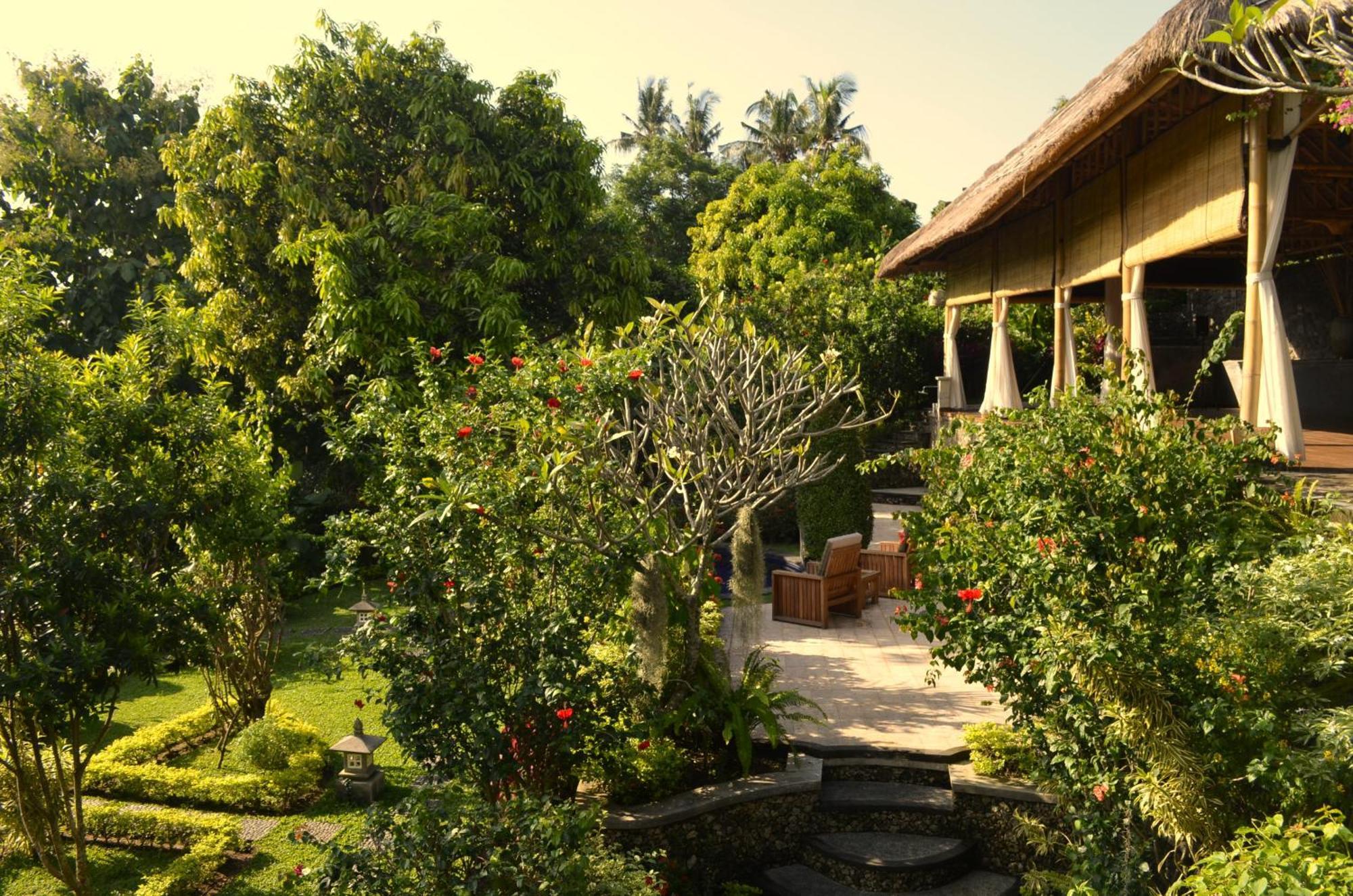 Alamanda Lovina Resort Eksteriør bilde